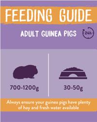 Burgess excel guinea pig blackcurrent and oregano feeding guide