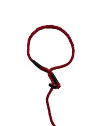 Figure of eight anti pull dog lead red collar
