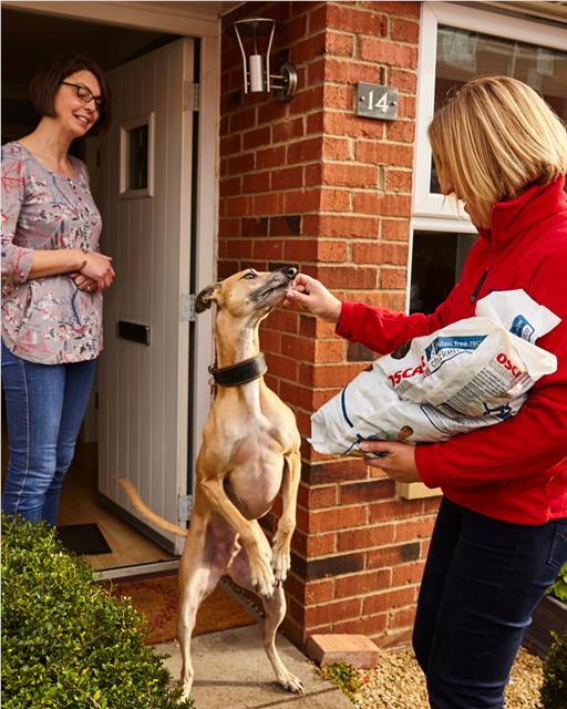 Rachel Knight Delivering Food to Ludo the Whippet