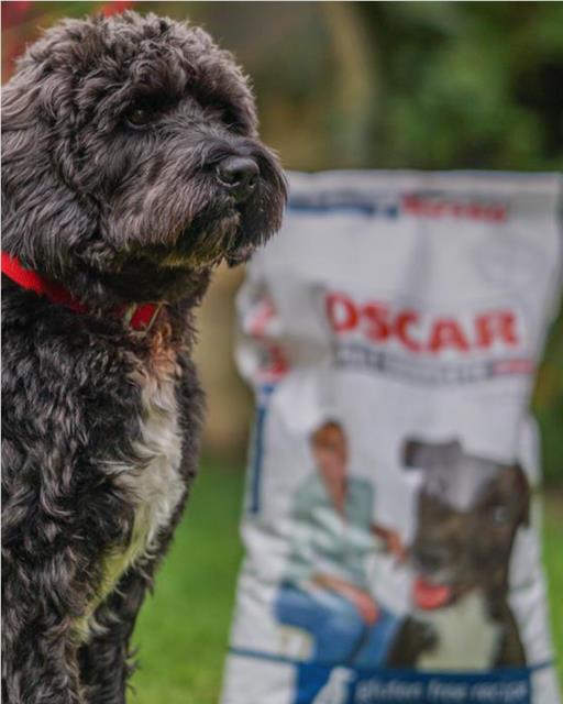 Wilson the dog sat in front of an OSCAR dog food bag of chicken and rice 