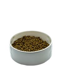 Bowl of large breed puppy food 