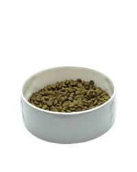 Bowl of OSCAR lamb & rice dog food