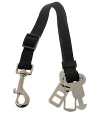 Close up of seat belt for dogs