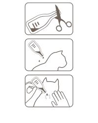 Beaphar Fiprotec spot on cats how to guide
