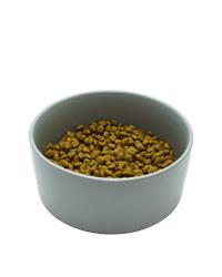 Bowl of rich in turkey complete adult cat food