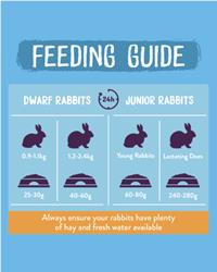 Burgess excel junior and dwarf rabbit feeding guide