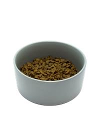 Bowl of adult cat care rich in salmon & chicken complete cat food