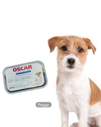 Photo of chicken with liver training treat tub with peggy