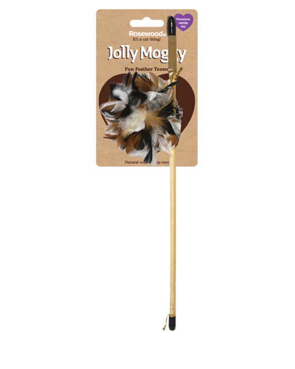 Jolly moggy natural feather teaser cat toy 