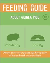 Burgess excel guinea pig feeding guide