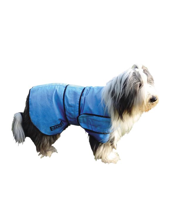 Easidri cooling coat on a dog
