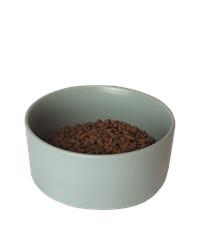 Neutered cat food in a bowl