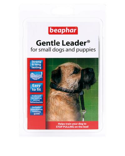 Gentle leader for small dogs