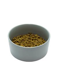 Bowl of rich in chicken with duck complete adult cat food