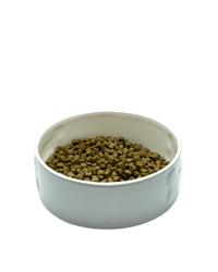 Bowl of OSCAR adult pinnacle of life dog food