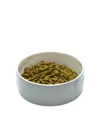 Bowl of OSCAR adult pinnacle of life dog food
