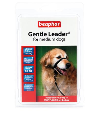 Gentle leader for medium dogs