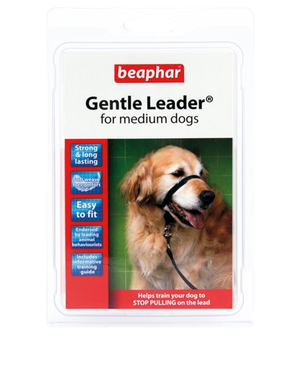 Gentle leader for medium dogs