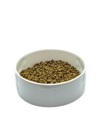 Bowl of OSCAR adult chicken & rice dog food