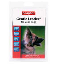 Gentle leader for large dogs