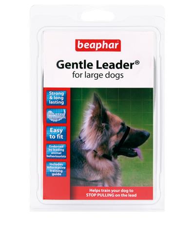 Gentle leader for large dogs