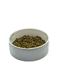 Bowl of OSCAR maize lamb & rice dog food