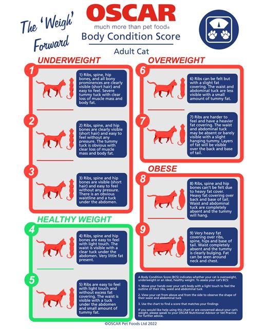 OSCAR pet foods cat body condition score diagrams