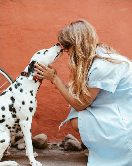 Lady with her dalmation, loving pet owner bond 