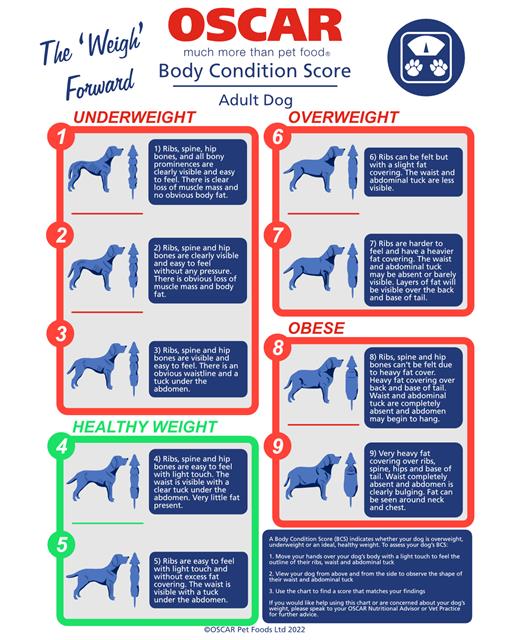 OSCAR pet foods dog body condition score diagrams
