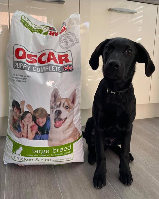 Hector the black Labrador stood next to his OSCAR large breed puppy food 