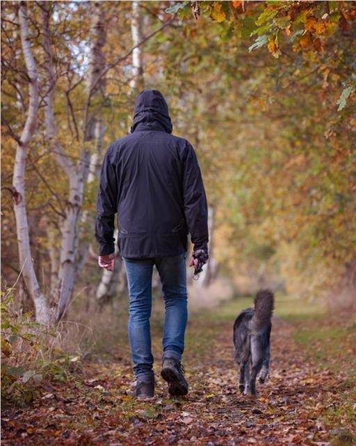 Dog out on an autumn walk with its owner.