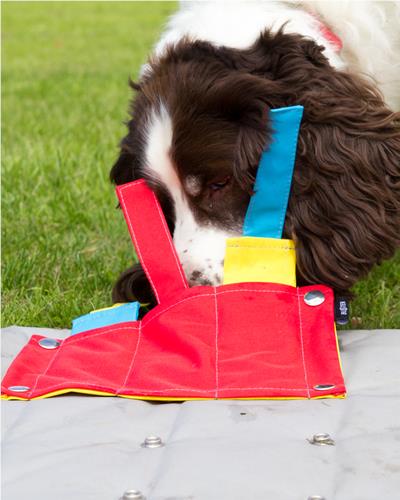 Alfie the dog using the buster activity mat