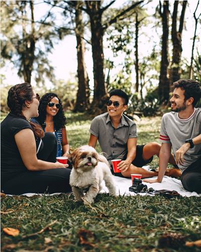 Friends enjoying a picnic with their dog in the sunshine 