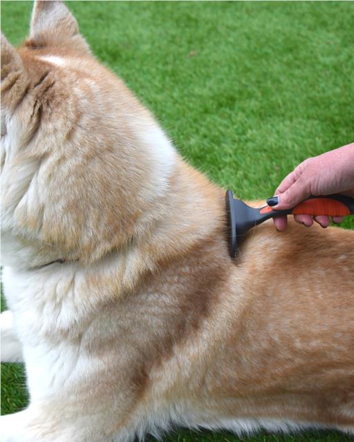 Brushing a dog using the moult stoppa brush 