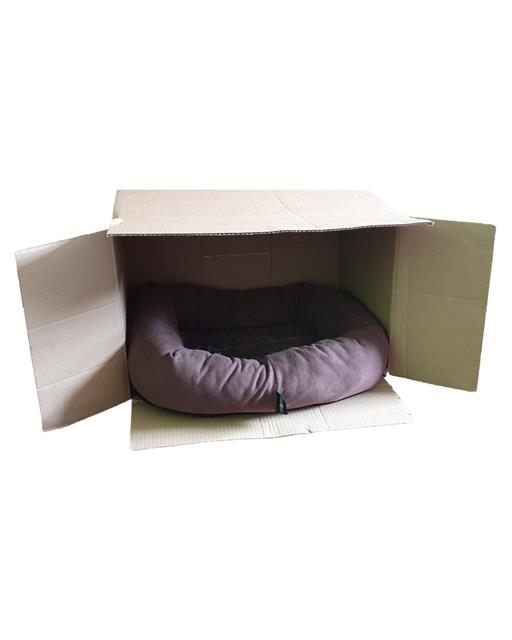 Cat bed in a cardboard box