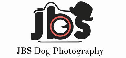 JBS-Dog-photography-norfolk